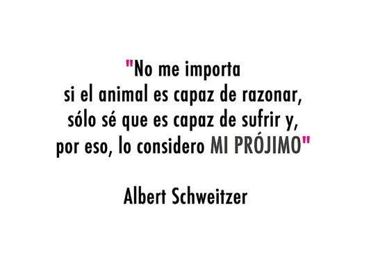 No me importa si el animal es capaz de razonar, sólo sé que es capaz de sufrir y por eso, lo considero Mi Prójimo.