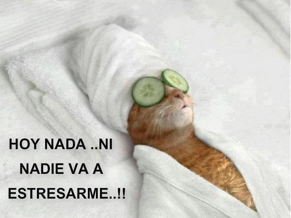 Hoy nada...ni nadie...va a estresarme.