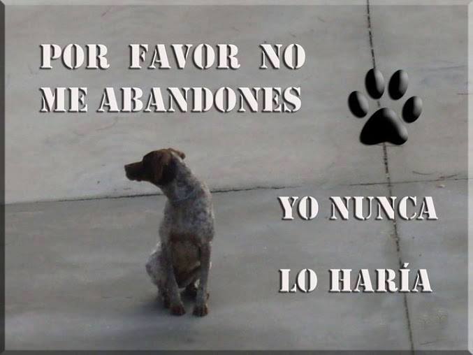 Por favor no me abandones. Yo nunca lo haría
