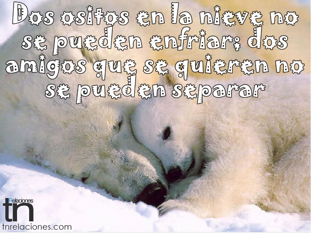 amigos que se quieren