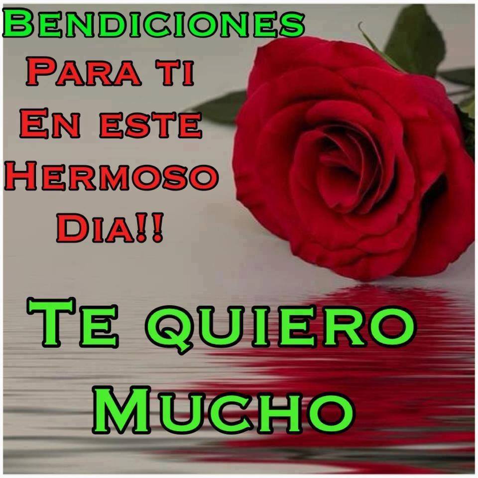 Bendiciones para tí en este hermoso día. Te quiero mucho.