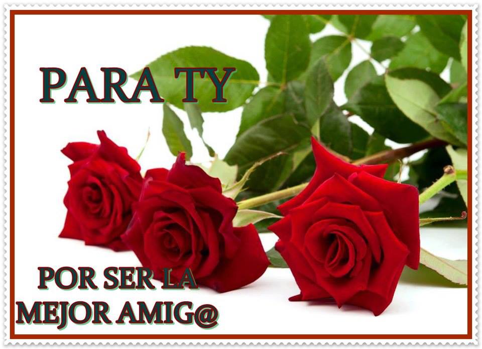Para Ty, por ser la mejor Amig@
