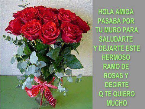 Hola Amiga, pasaba por tu Muro para saludarte y dejarte este hermoso ramo de rosas y decirte Q te quiero mucho.