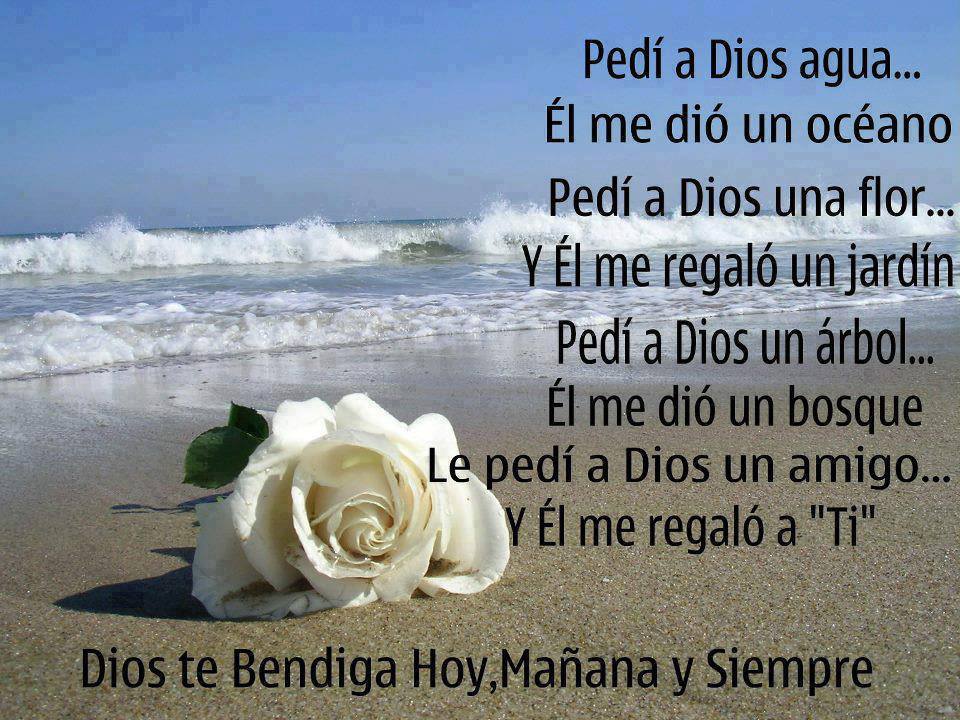 Pedí a Dios agua..Él me dió un océano. Pedí a Dios una flor...y Él me regaló un jardin. Le pedí a Dios un amigo...y Él me regaló a Ti.