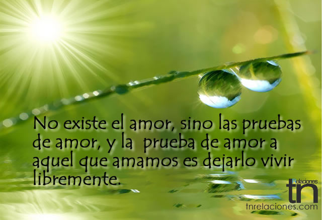 Prueba de amor