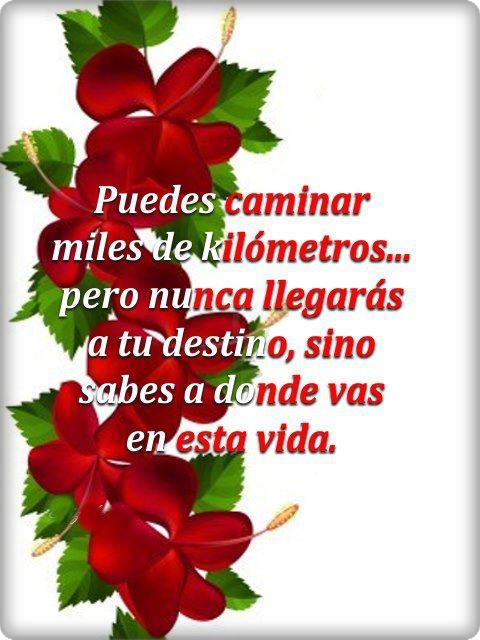 Puedes caminar miles de kilómetros pero nunca llegarás a tu destino sino sabes a donde vas en esta vida