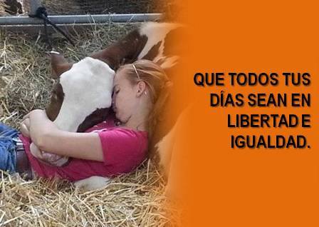 Que todos sus días sean en libertad e igualdad.