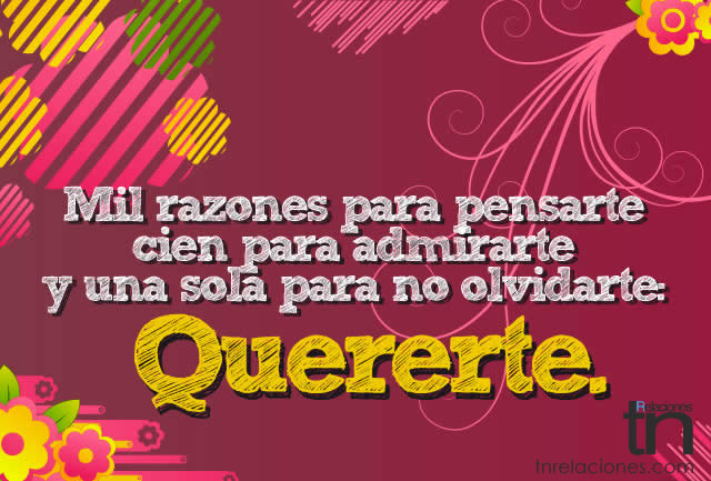 Quererte