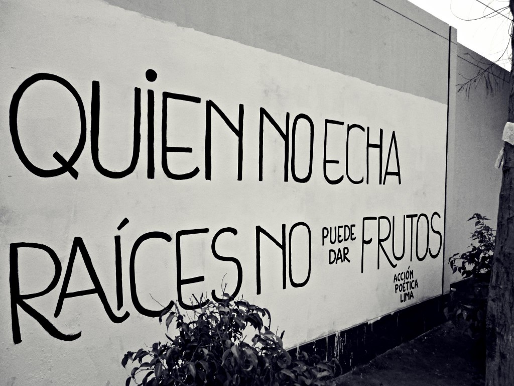 Echar raices