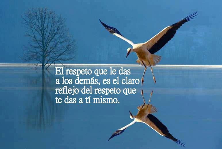 El respeto que le das a los demás, es el claro reflejo del respeto que te das a tí mismo