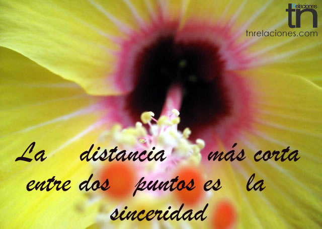 sinceridad