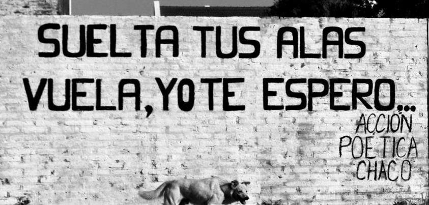 suelta-tus-alas