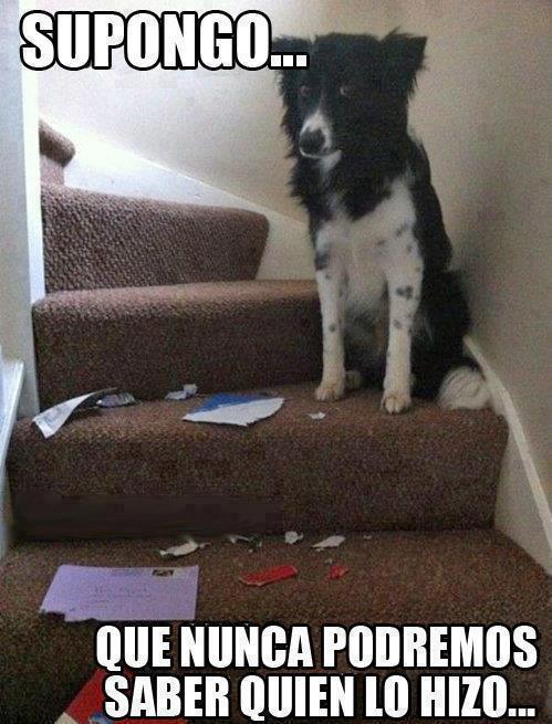 Supongo...Que nunca podremos saber quien lo hizo...
