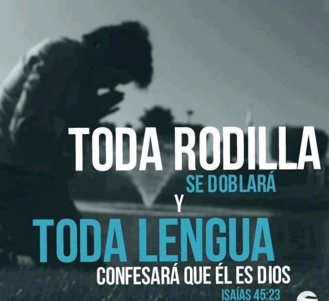toda-rodilla