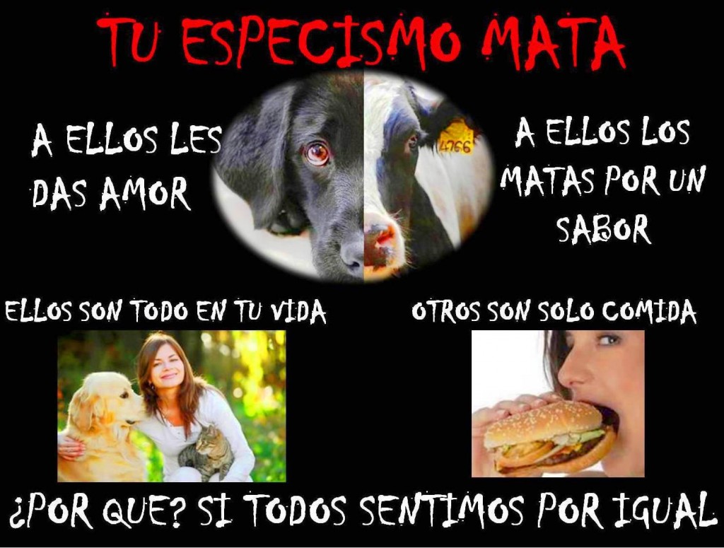 Tu Especismo Mata. A ellos les da amor. A ellos los matas por un sabor. Ellos son todo en tu vida. Otros solo comida...Todos sentimos igual.