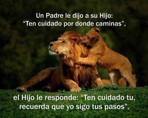 ten cudiado por donde caminas