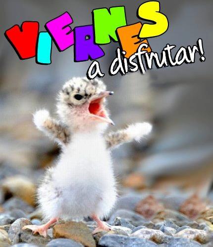 Viernes a Disfrutar