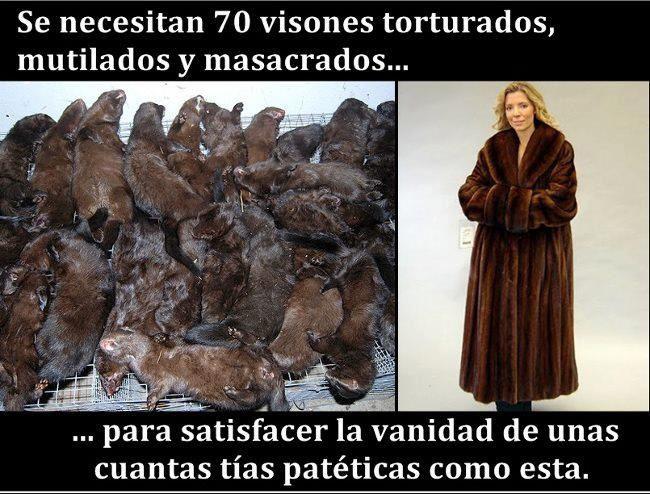 Se necesitan 70 Visones torturados, mutilados y masacrados...para satisfacer la vanidad de unas cuantas tías patéticas como esta.