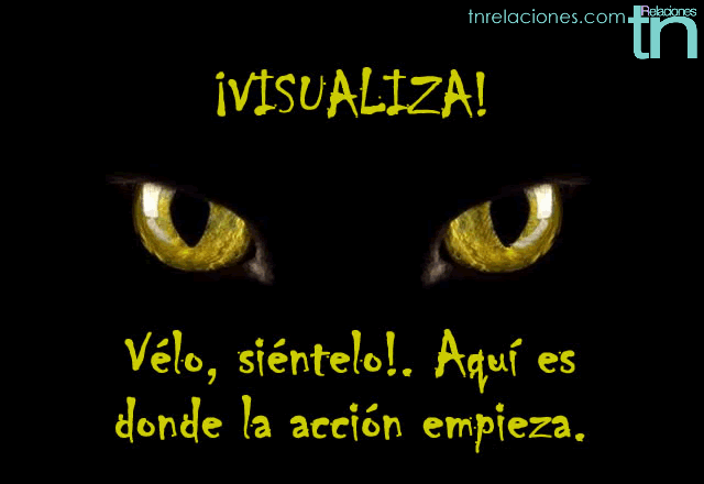 visualiza