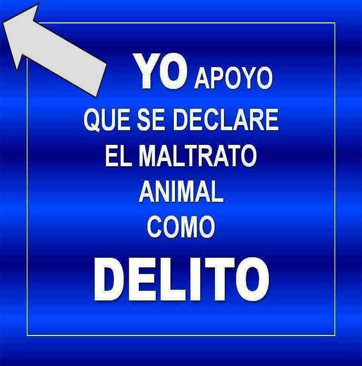 Yo apoyo que se declare el maltrato animal como delito.