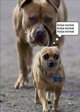Actúa Normal