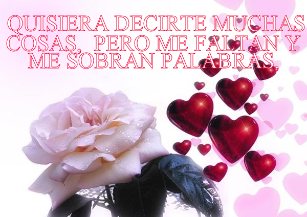 Quisiera decirte muchas cosas, pero me faltan y me sobran palabras