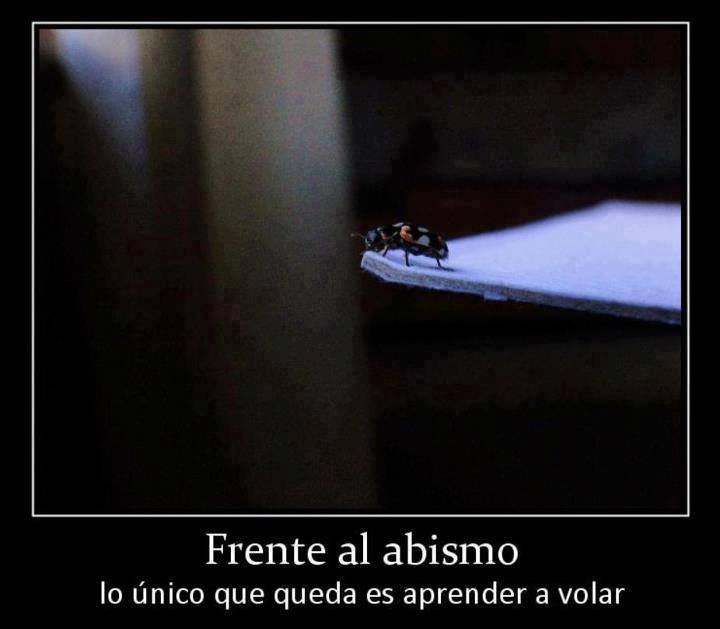 Frente al Abismo