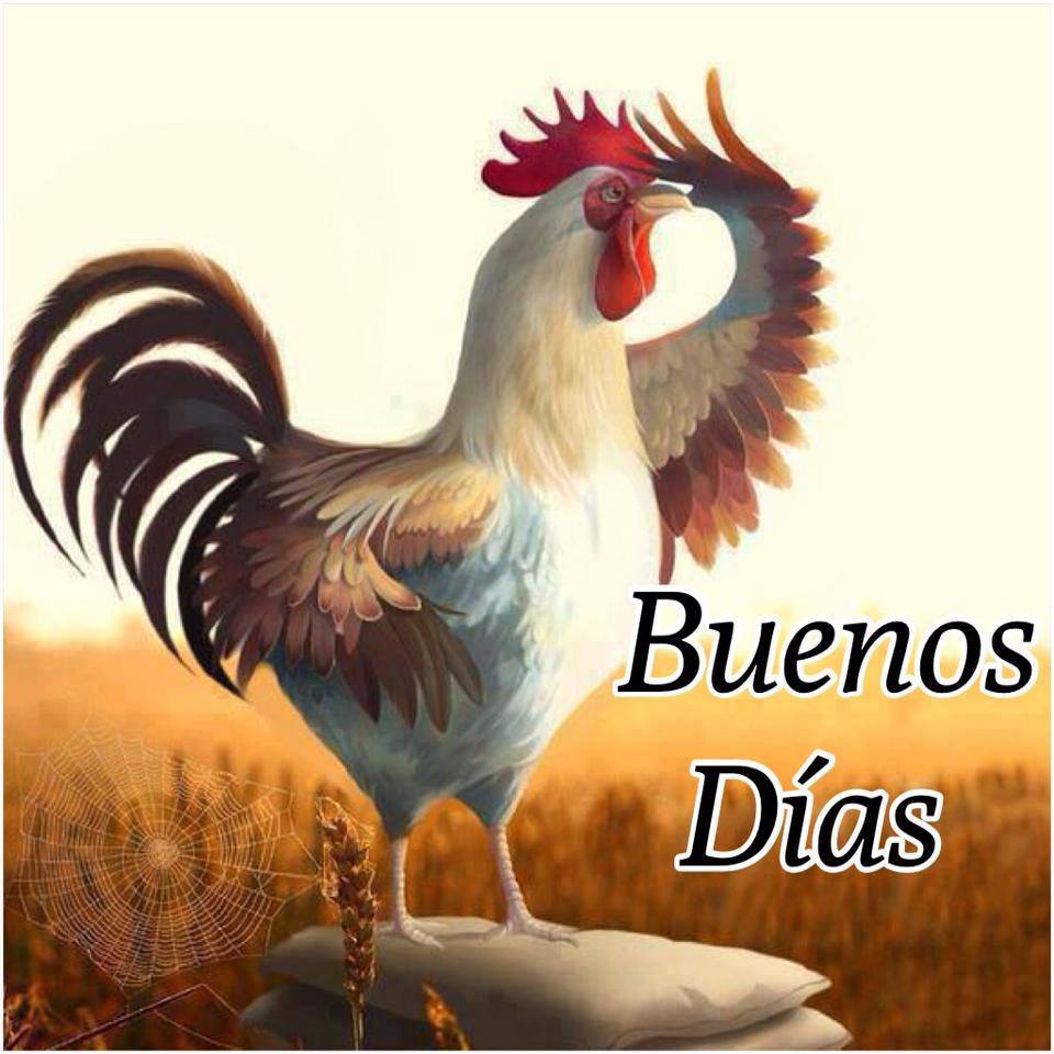 Buenos Dias