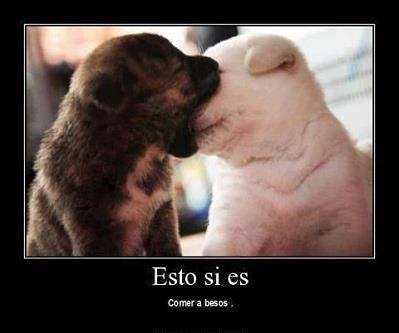Comer a Besos