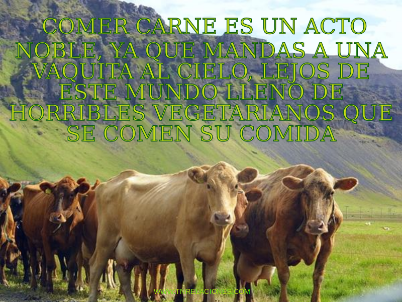 Comer carne es un acto noble