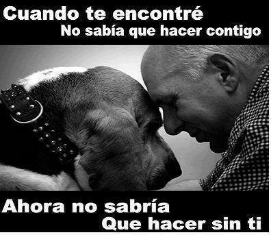 Cuando te encontré no sabía que hacer contigo. Ahora no sabría que hacer sin tí