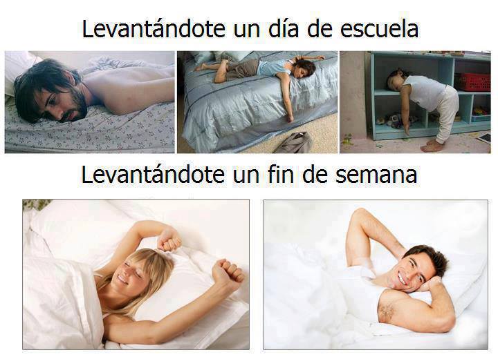 Dia normal y día de Fiesta