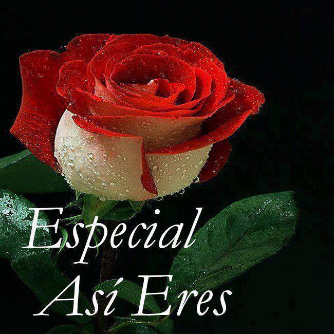 Especial así eres