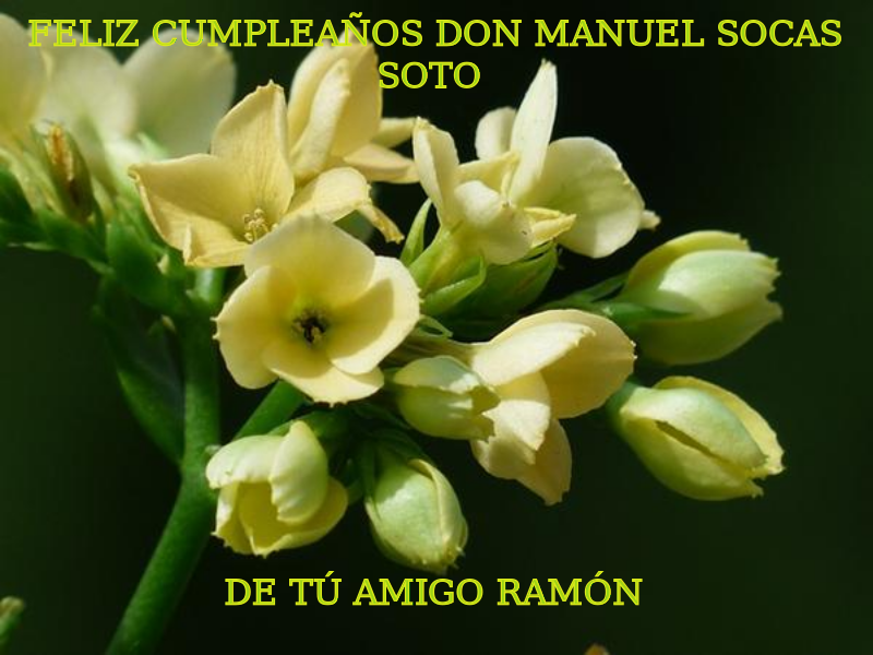 Feliz cumpleaños Don Manuel Socas Soto. De tú amigo Ramón