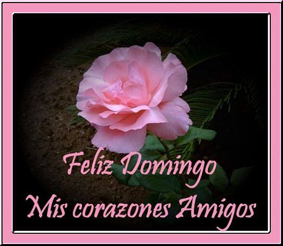 Feliz Domingo