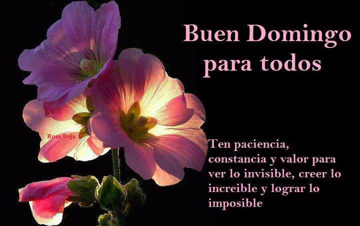 Buen Domingo para todos. Ten paciencia, constancia y valor para ver lo invisible, creer lo increíble y lograr lo imposible.