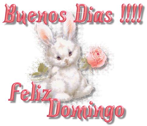 Buenos Días. Feliz Domingo