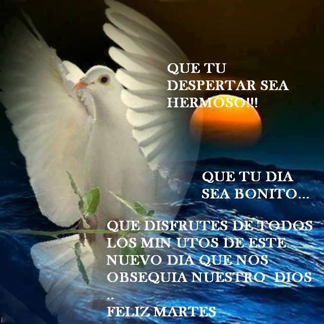 Feliz Martes