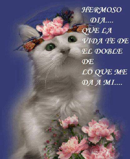 Hermoso Día...Que la vida te de el Doble de lo que me da a mí...