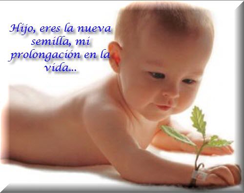 Hijo, eres la nueva semilla, mi prolongación en la vida...