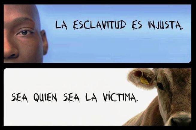 La Esclavitud es Injusta. Sea quien sea la victima.