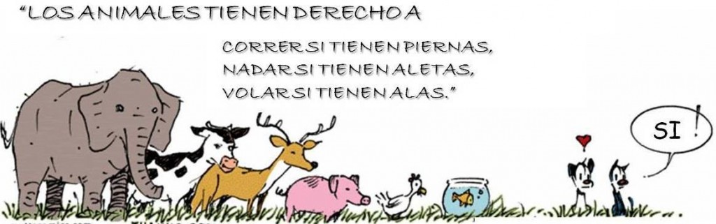 Los Animales tienen Derecho a correr si tienen piernas, nadar si tienen aletas, volar si tienen alas.