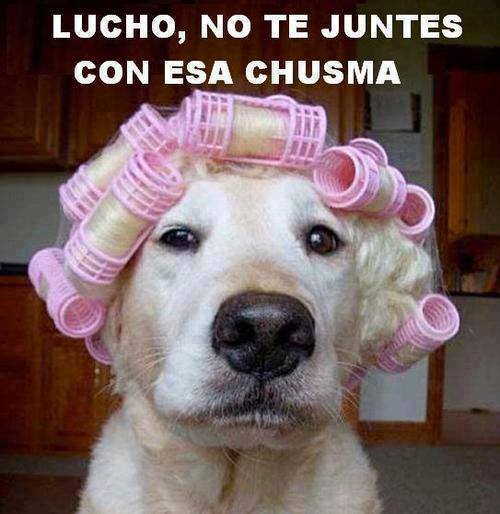 Lucho. No te juntes con esa Chusma