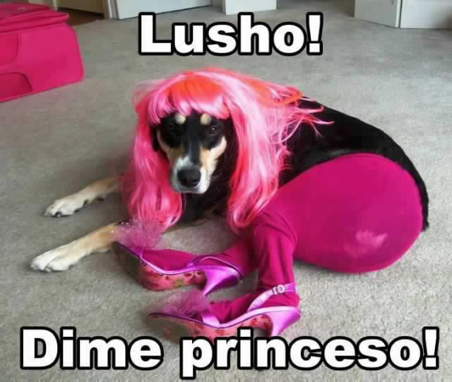 Lusho. Dime Princeso