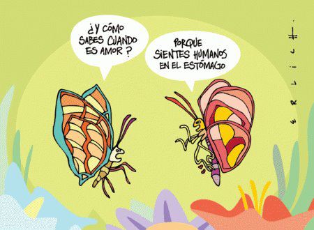 Y como sabes cuando es Amor. Porque sientes humanos en el estómago.