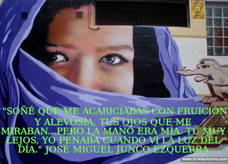 Soñé que me acariciabas con fruición y alevosía. Tus ojos que me miraban...pero la mano era mía. Tú muy lejos, yo penaba cuando vi la luz del Día.