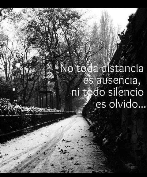 No toda distancia es ausencia, ni todo silencio es olvido...