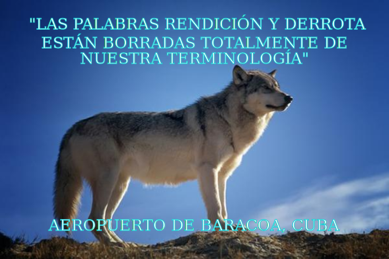 Las palabras rendición y derrota están borradas totalmente de nuestra terminología.