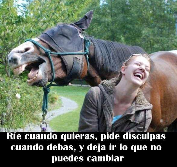 Ríe cuando quieras, pide disculpas cuando debas, y deja ir lo que no puedes cambiar.