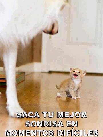 Saca tu mejor Sonrisa en momentos difíciles.